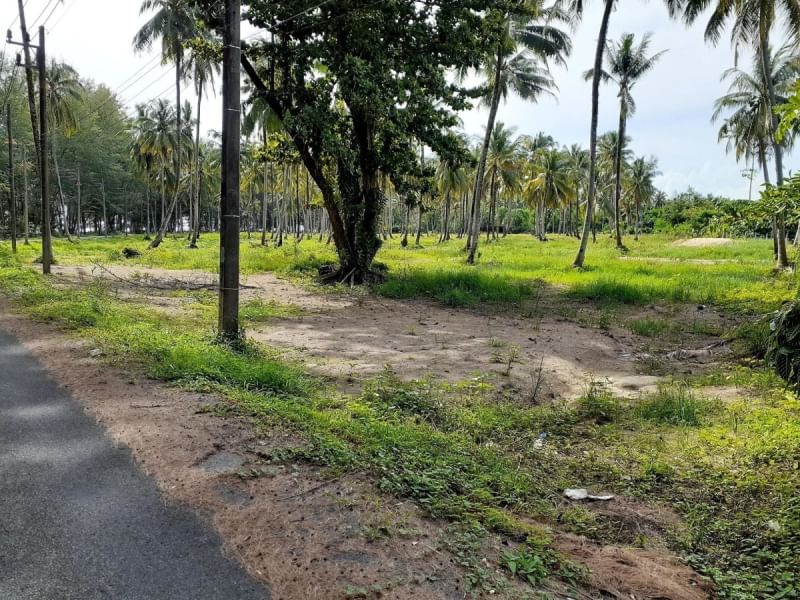 ขายที่ดิน เจ้าของขายเอง เนื้อที่ 16ไร่ 3งาน 65ตารางวา ตำบลคึกคัก อำเภอตะกั่วป่า จังหวัดพังงา 